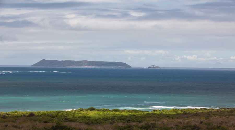galapagos Tour